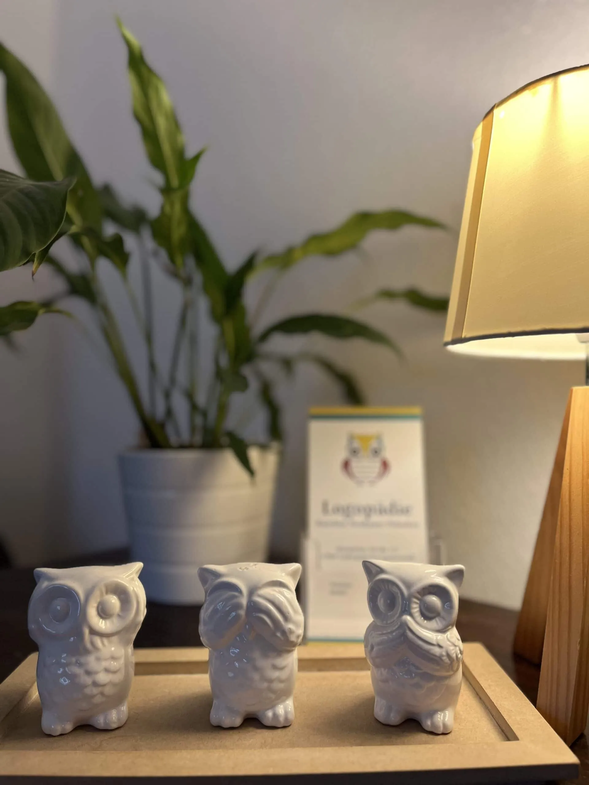 Drei weiße Eulen-Figuren und eine Lampe in der Praxis